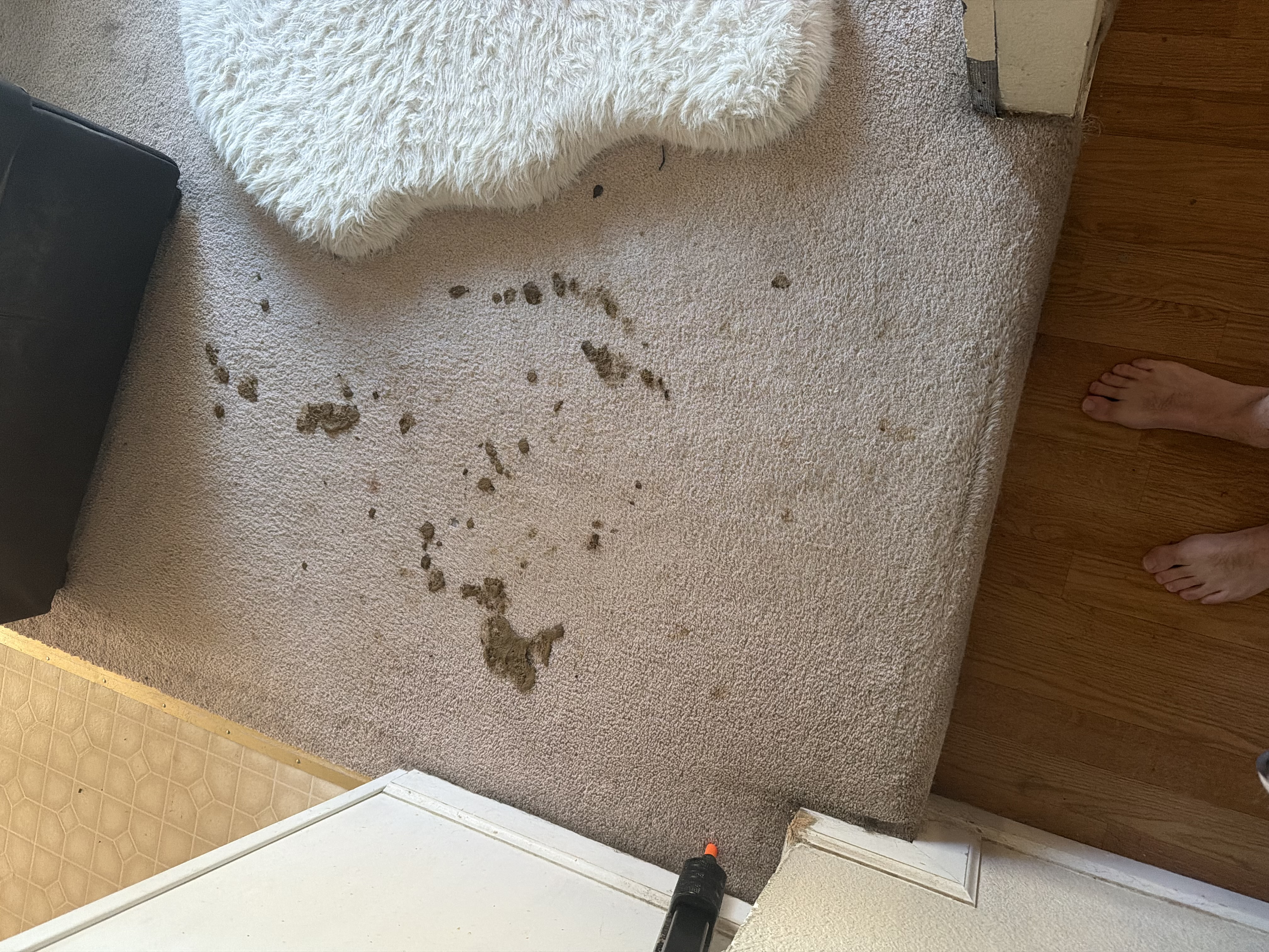 Before cleaning