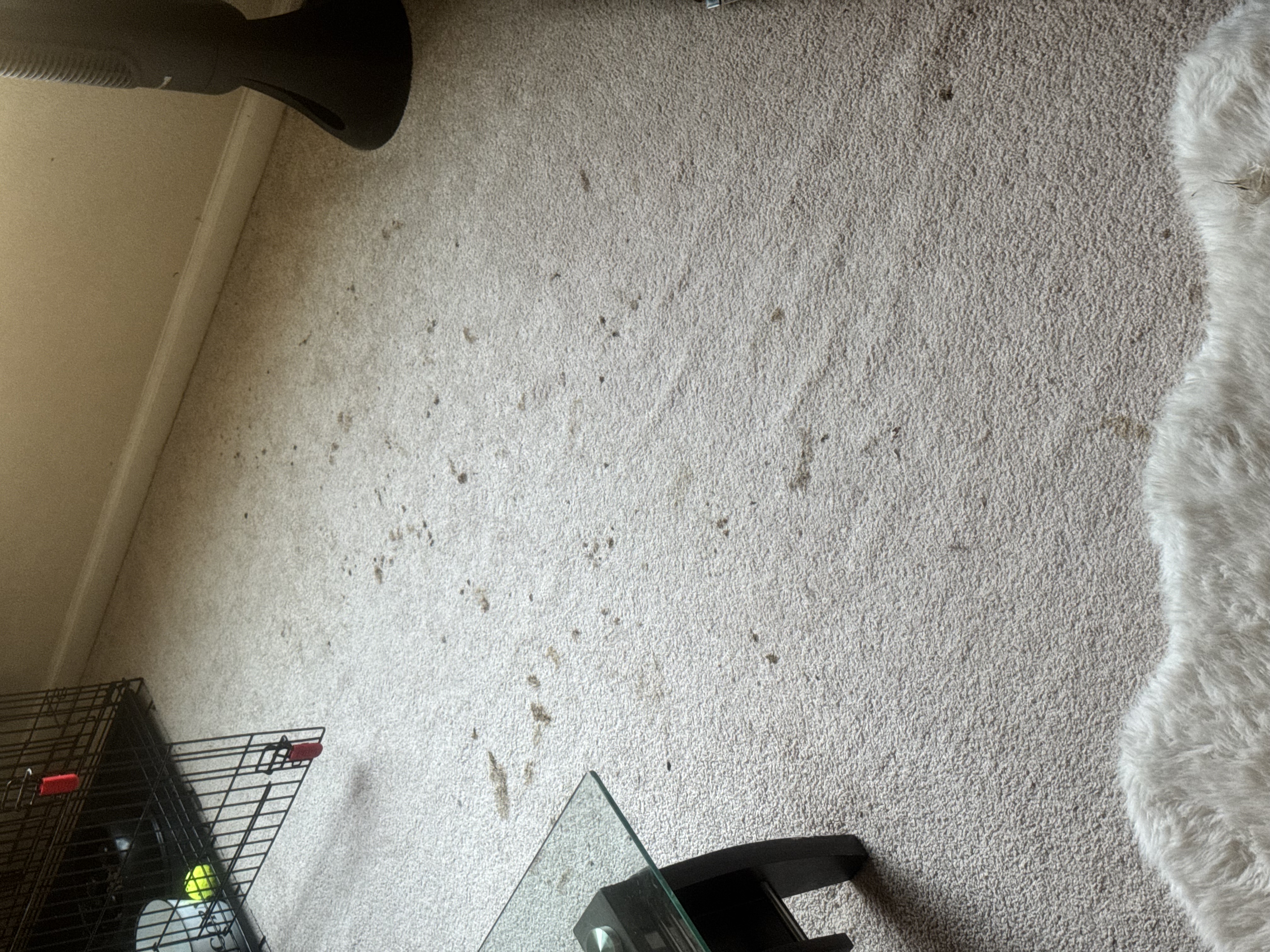 After cleaning