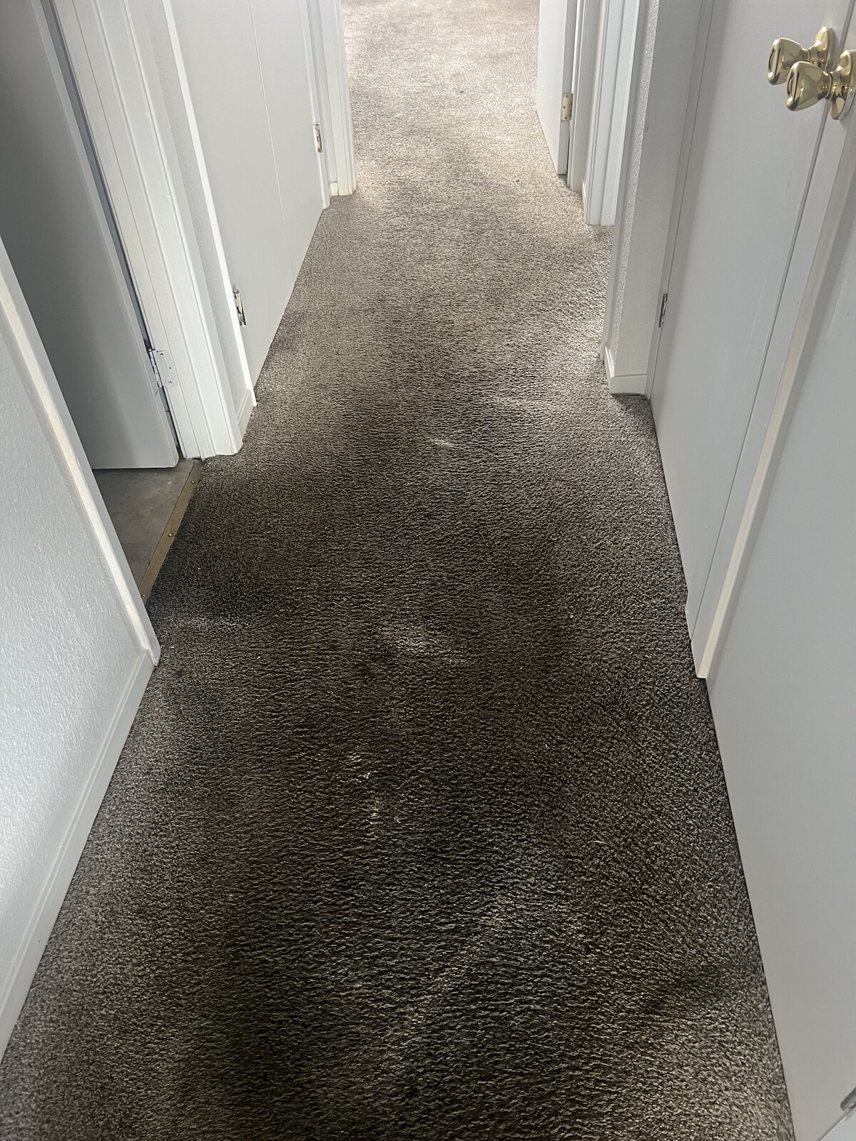 Carpet Cleaning in Folsom & the Sacramento Area before
