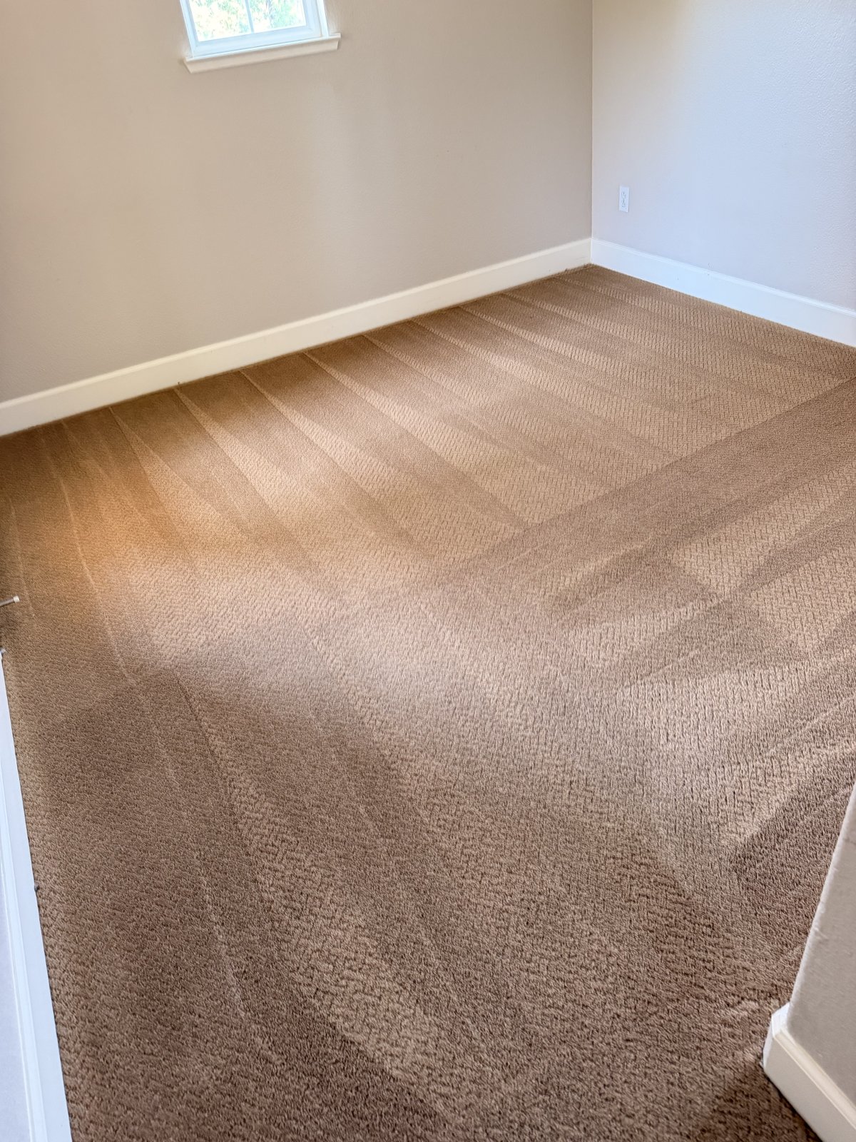 Freshly cleaned carpet by Keep It Clean America 3