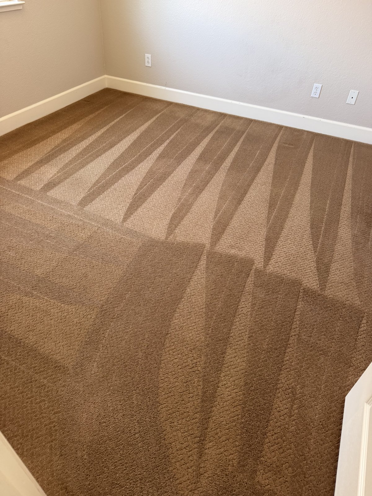 Freshly cleaned carpet by Keep It Clean America 4