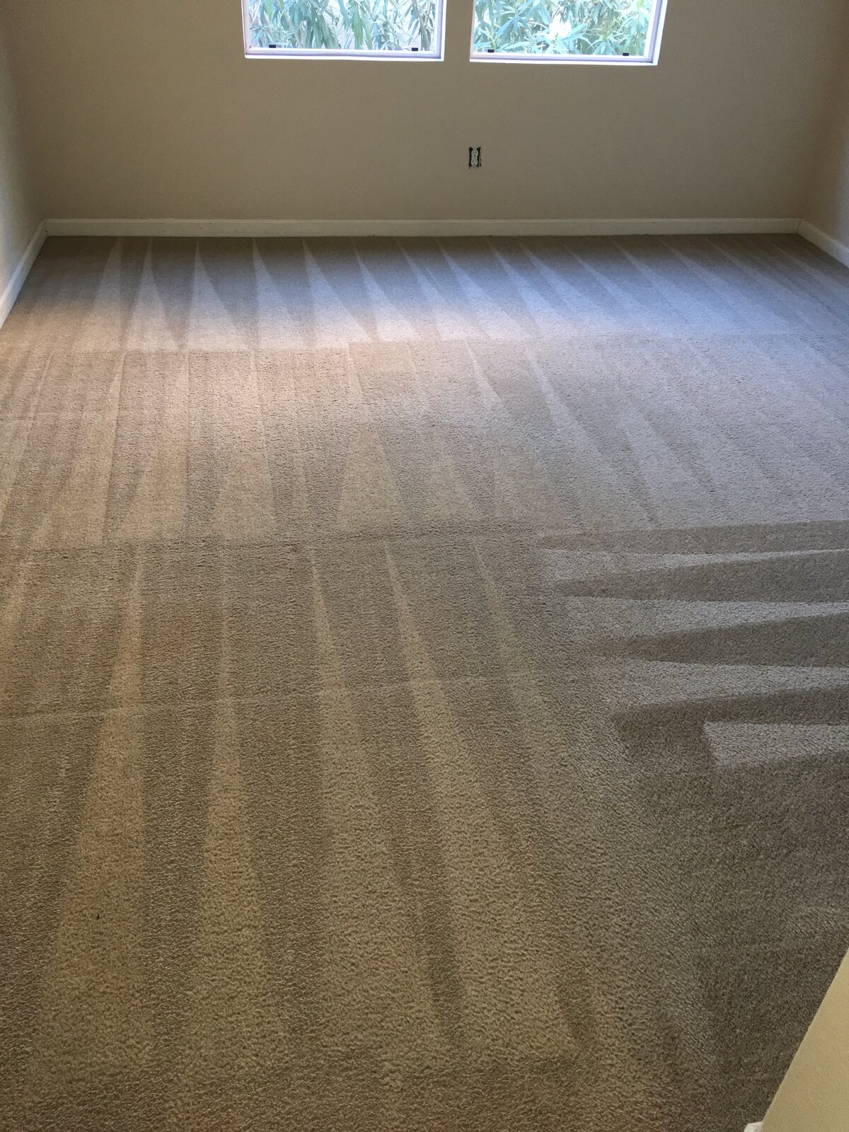 Freshly cleaned carpet by Keep It Clean America 5