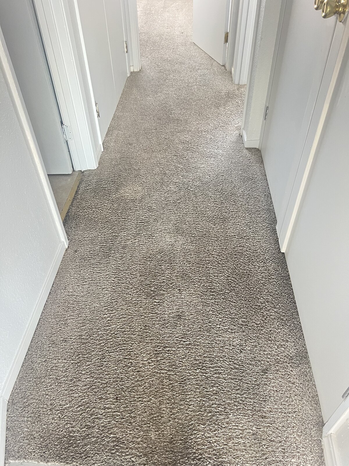 Carpet after steam cleaning