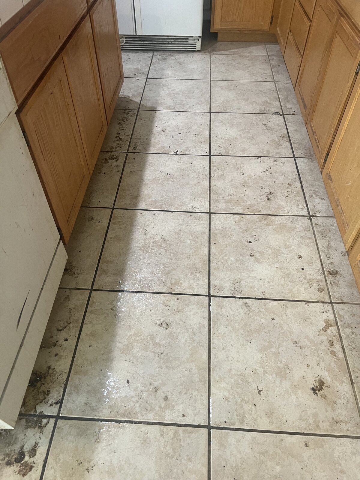 Carpet before deep clean