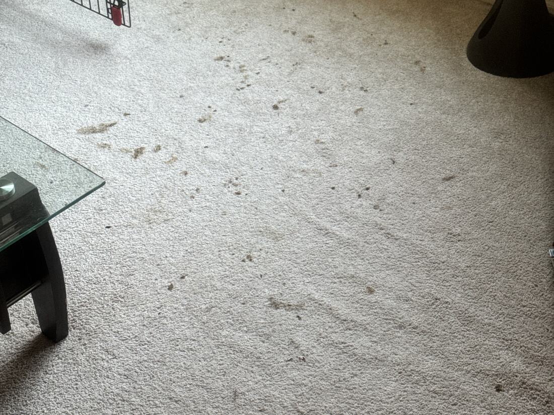 Before cleaning