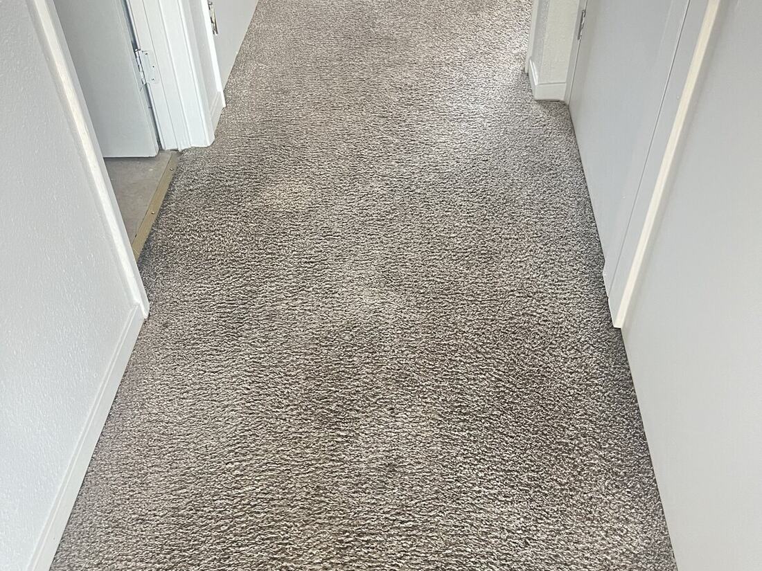 Carpet Cleaning in Folsom & the Sacramento Area after