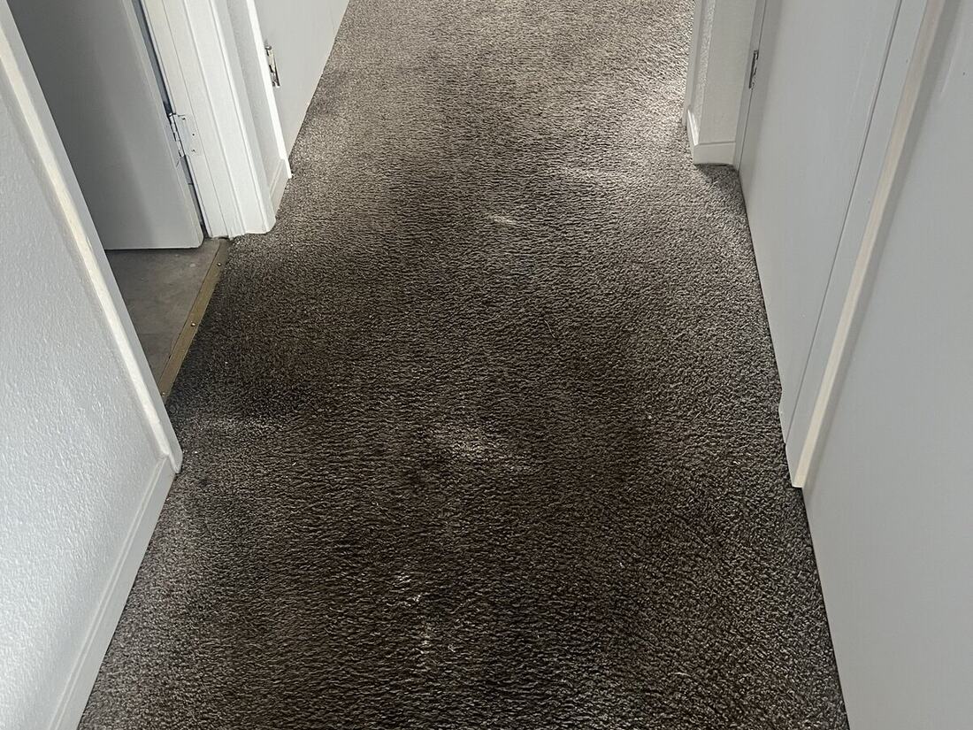 Carpet Cleaning in Folsom & the Sacramento Area before