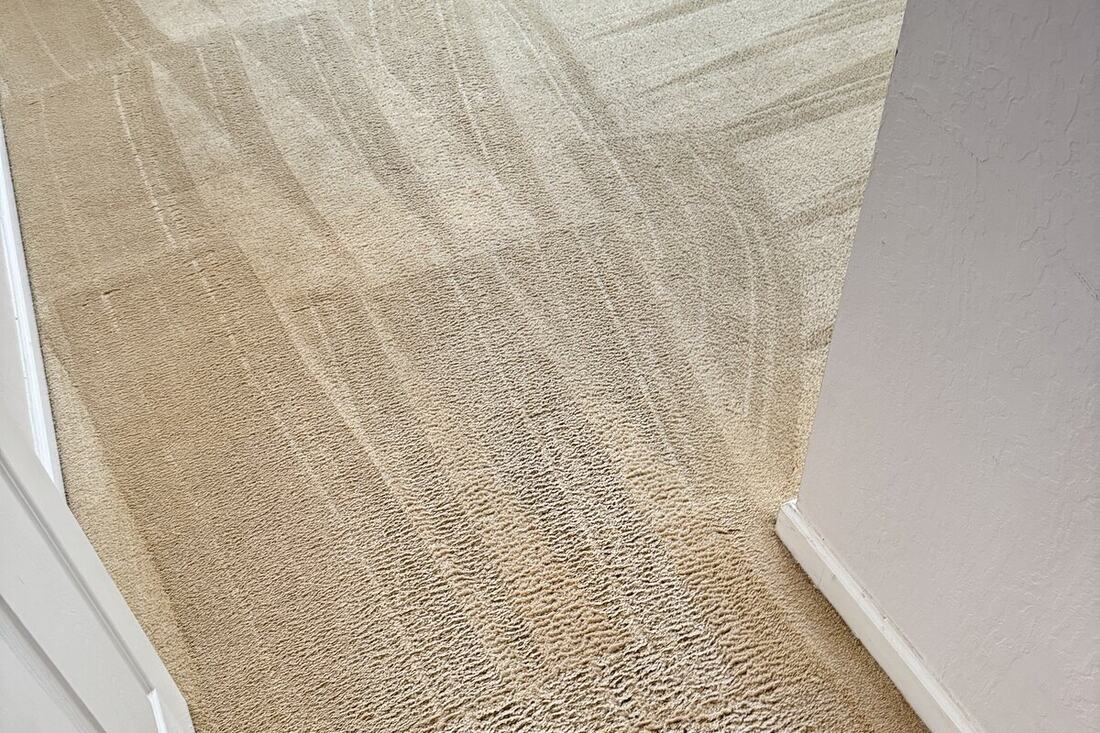 Freshly cleaned carpet by Keep It Clean America 1