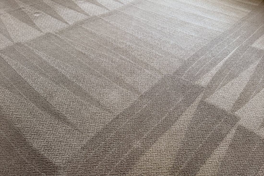 Freshly cleaned carpet by Keep It Clean America 2