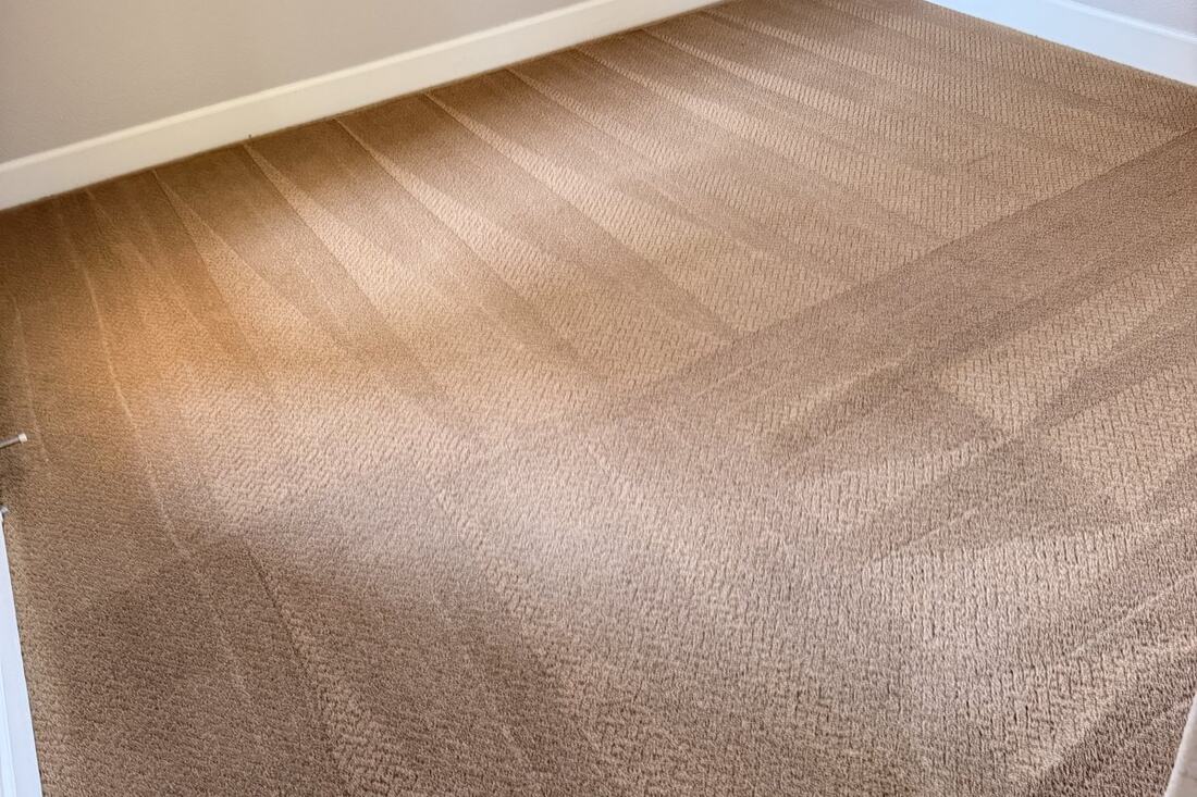 Freshly cleaned carpet by Keep It Clean America 3