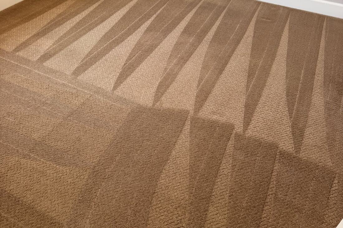 Freshly cleaned carpet by Keep It Clean America 4