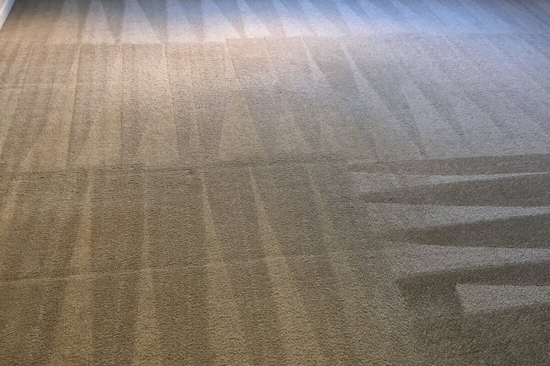 Freshly cleaned carpet by Keep It Clean America 5