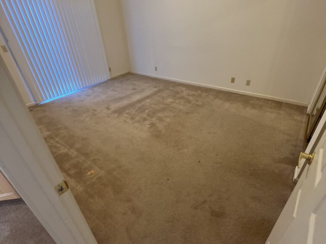 Pet-stained carpet before steam cleaning