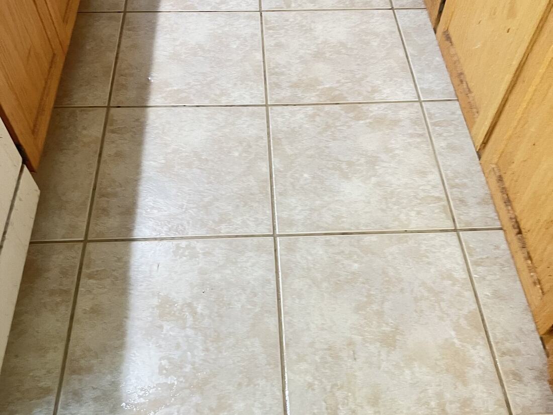 Carpet after deep clean