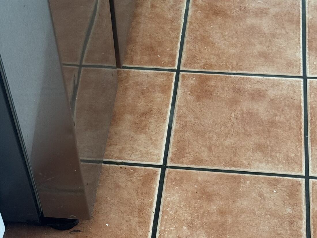 Tile and grout after cleaning and sealing