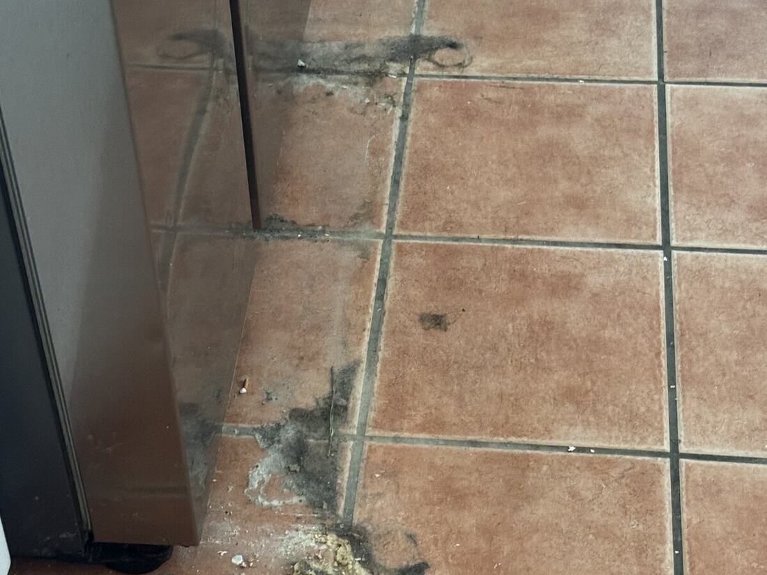 Tile and grout before cleaning